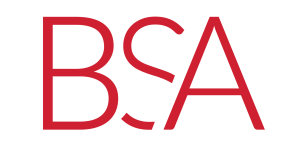 BSA LifeStructures